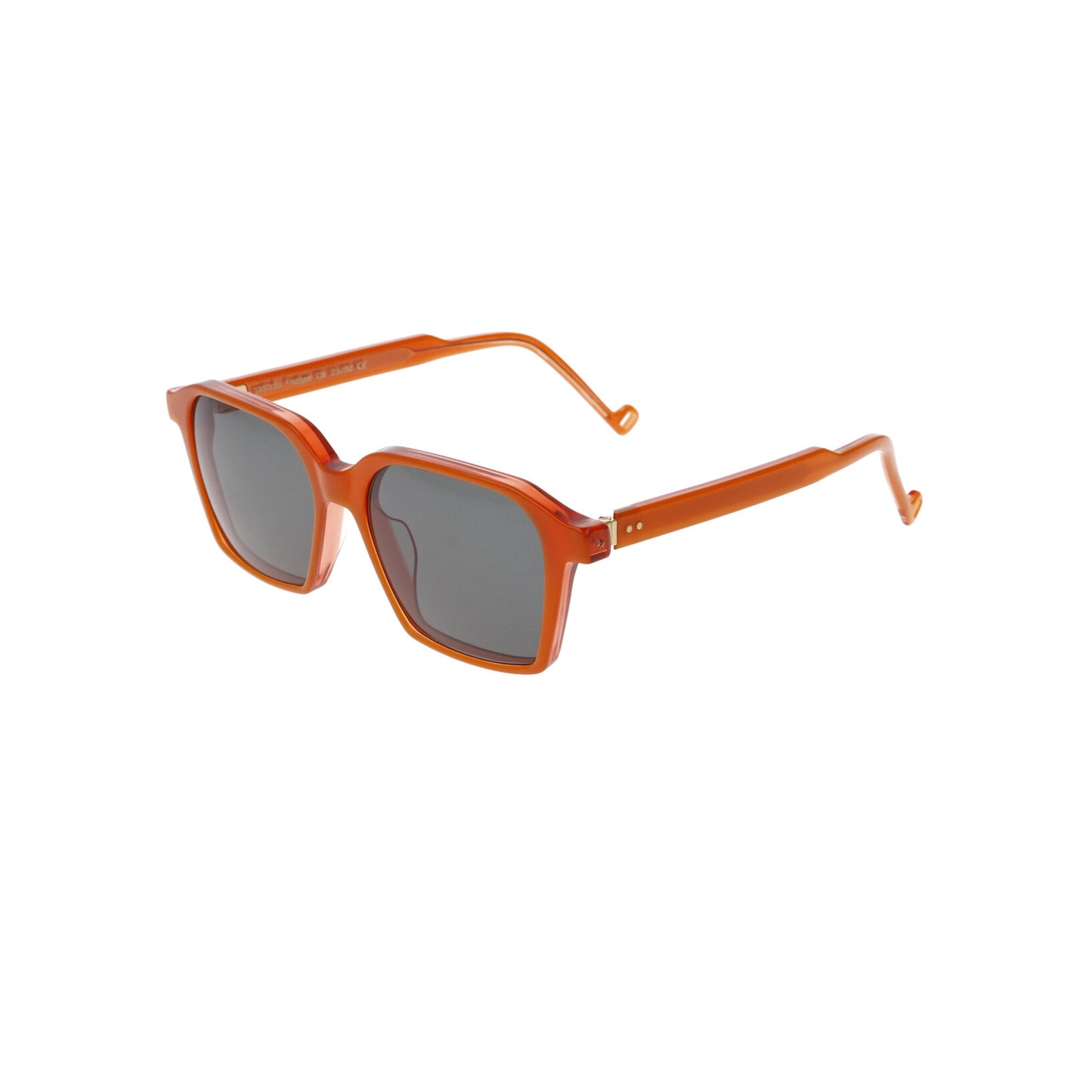 Frutiger C6 Sunglasses